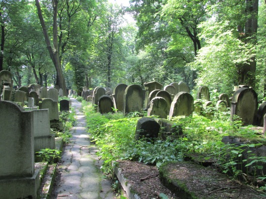 New Jewish Cemetery (1800s) in Krakow, Poland