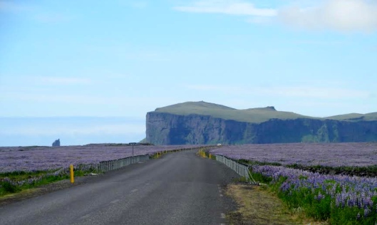 Chilling out to Kacey Musgraves on the Ring Road, Iceland