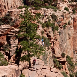 Zion and Bryce 2012 099
