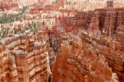 Zion and Bryce 2012 195